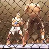 Free play online Cage Fighting Wallpapers - HD APK