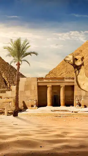 Play Cairo Wallpaper  and enjoy Cairo Wallpaper with UptoPlay