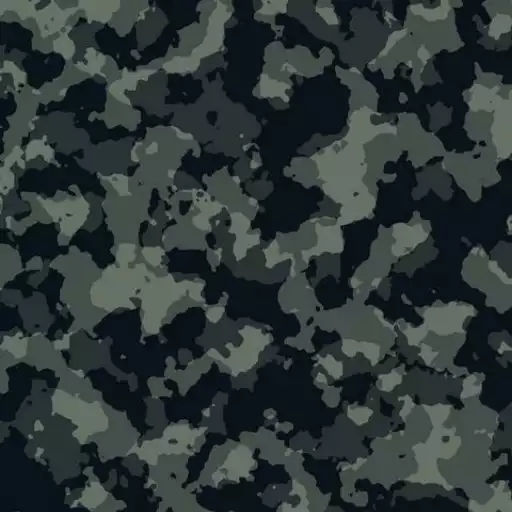 Play Camouflage Wallpaper APK