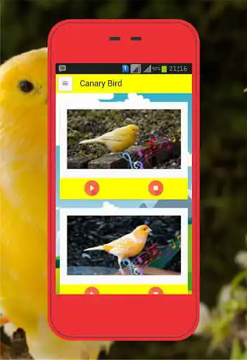 Play Canary Birds  and enjoy Canary Birds with UptoPlay