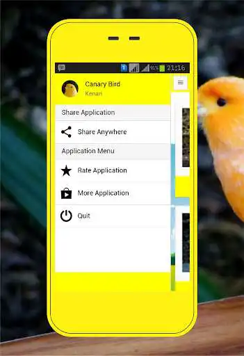 Play Canary Birds as an online game Canary Birds with UptoPlay