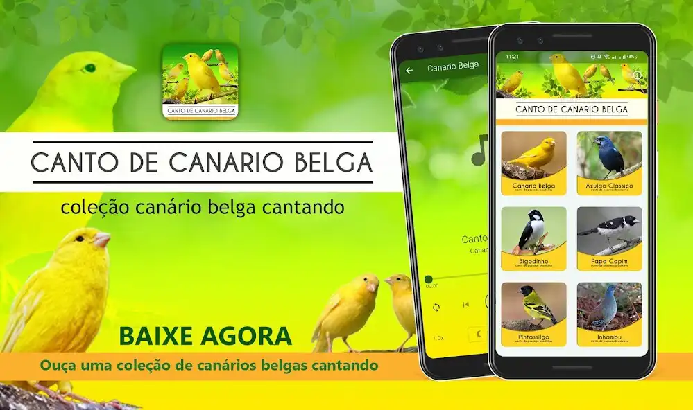 Play Canto De Canário Belga  and enjoy Canto De Canário Belga with UptoPlay