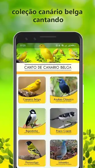 Play Canto De Canário Belga as an online game Canto De Canário Belga with UptoPlay