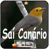 Free play online Canto do Sai Canario APK