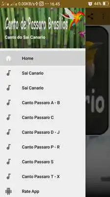 Play Canto do Sai Canario