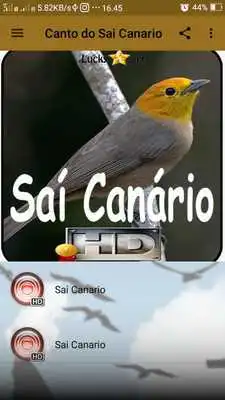 Play Canto do Sai Canario