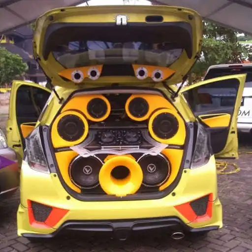 Play Car Audio System