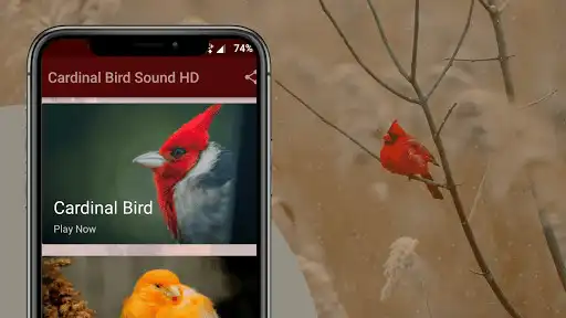 Play Cardinal Bird Sounds as an online game Cardinal Bird Sounds with UptoPlay