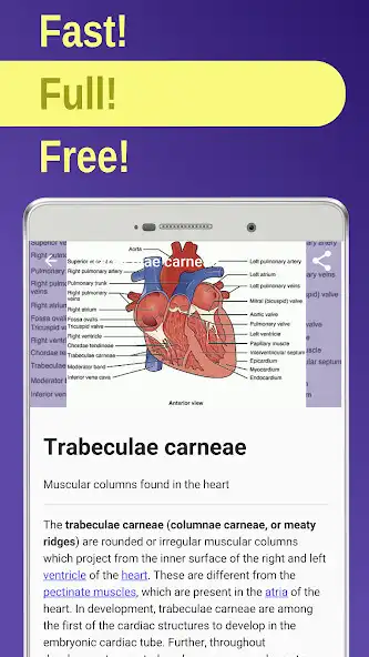 Play Cardiolody, Hematology: heart  and enjoy Cardiolody, Hematology: heart with UptoPlay