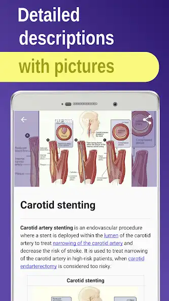 Play Cardiolody, Hematology: heart as an online game Cardiolody, Hematology: heart with UptoPlay