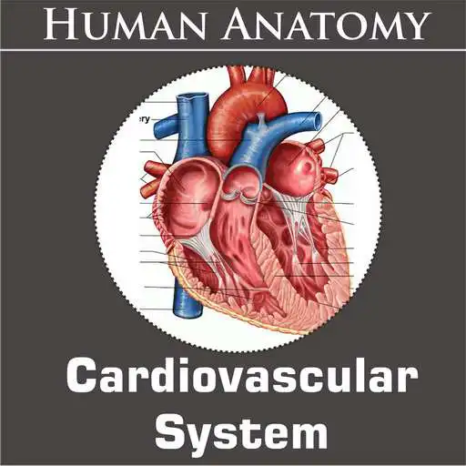 Run free android online Cardiovascular System APK