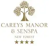 Free play online Careys Manor and SenSpa APK