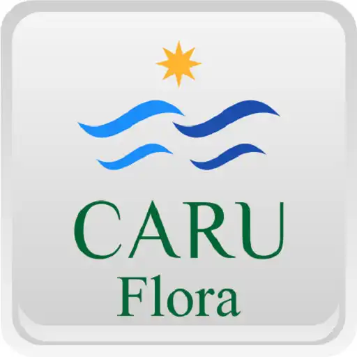 Play Caru Flora APK