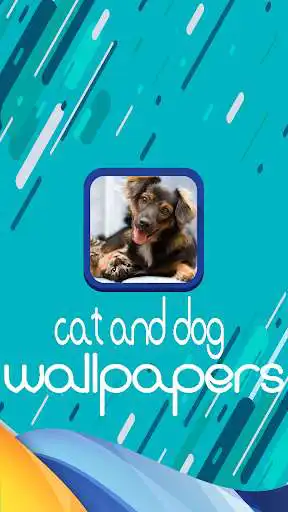 Play cat and dog wallpapers