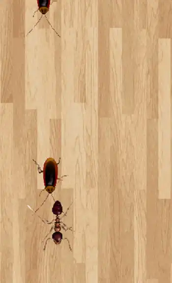 Play Catch insects as an online game Catch insects with UptoPlay