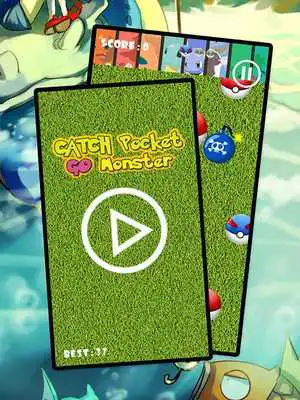 Play Catch Pocket Go Monster