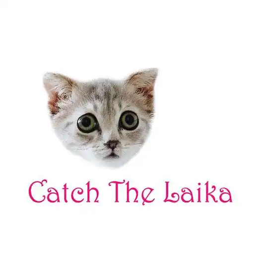 Play Catch The Laika APK