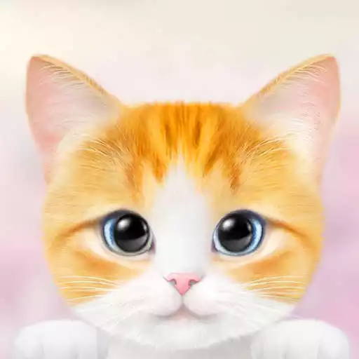 Play Cat Dress Up APK