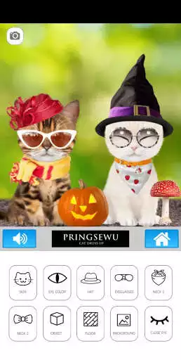 Play Cat Dress Up as an online game Cat Dress Up with UptoPlay