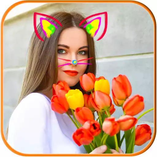 Free play online Cat Face Photo Editor APK