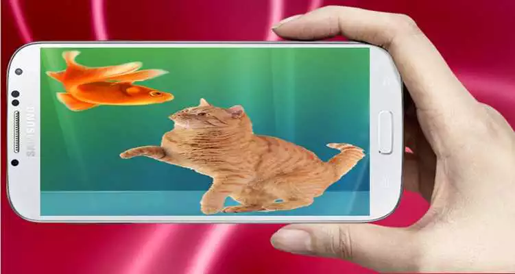 Play Cat Fishing Nice Free Game!