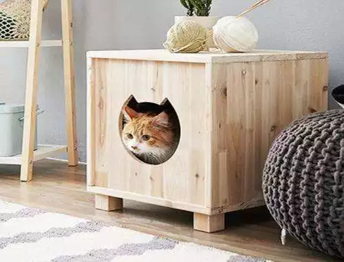 Play Cat House Design Ideas