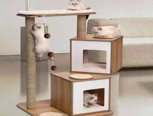 Play Cat House Design Ideas