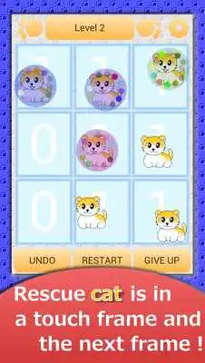 Play Cat is friends,Cat puzzle game