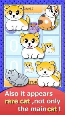 Play Cat is friends,Cat puzzle game