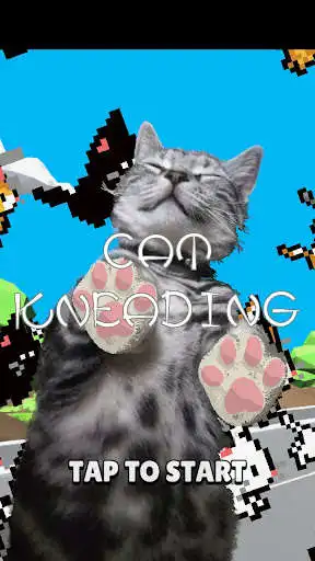 Play Cat Kneading as an online game Cat Kneading with UptoPlay