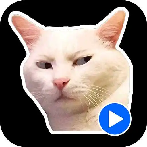 Play Cat Meme Animated Stickers APK