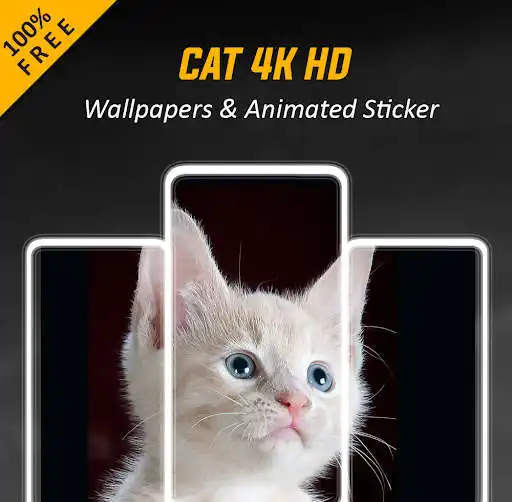 Play Cat Meme Animated Stickers  and enjoy Cat Meme Animated Stickers with UptoPlay