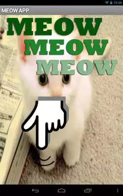 Play Cat Meow App