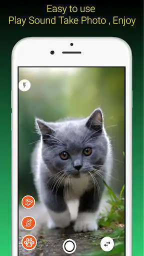 Play Cats Camera:Click pic with amazing sound effect as an online game Cats Camera:Click pic with amazing sound effect with UptoPlay