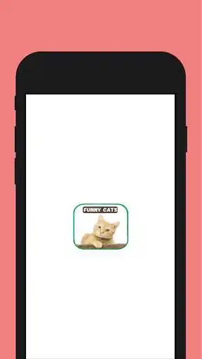 Play Cats Funny Video Collection  and enjoy Cats Funny Video Collection with UptoPlay