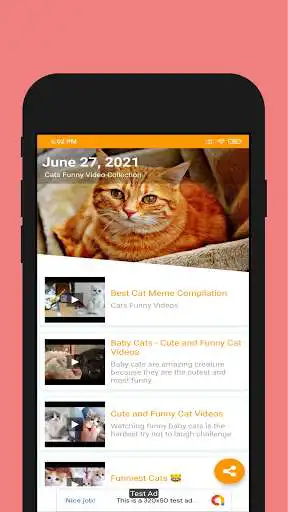 Play Cats Funny Video Collection as an online game Cats Funny Video Collection with UptoPlay