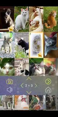 Play Cats Puzzles