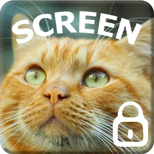 Play Cat Theme Kitten Pet HD Wallpaper Screen Lock APK