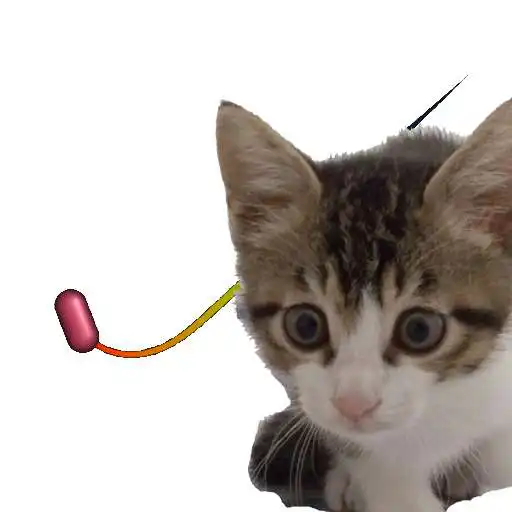 Play Cat Toy - moving point for cat APK