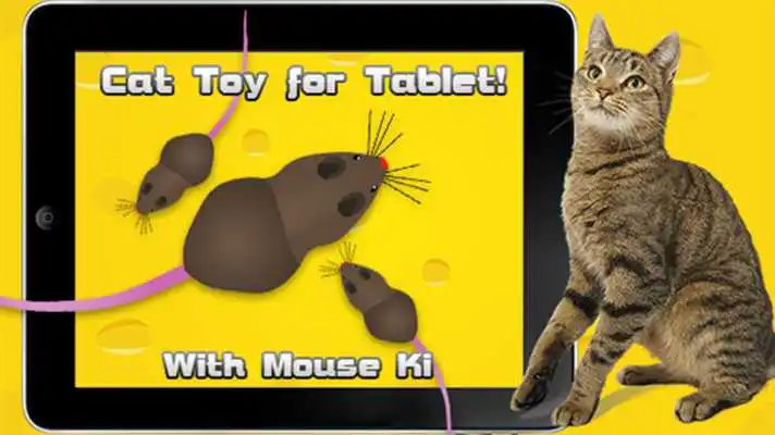 Play Cat Toys - MouseHunt Cat Games