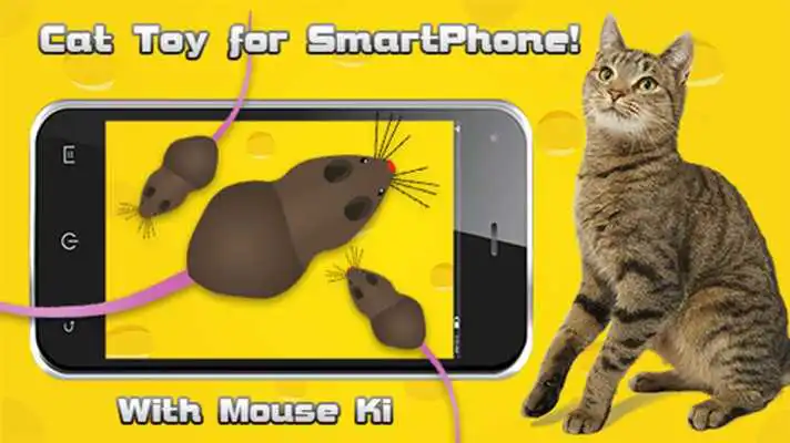 Play Cat Toys - MouseHunt Cat Games