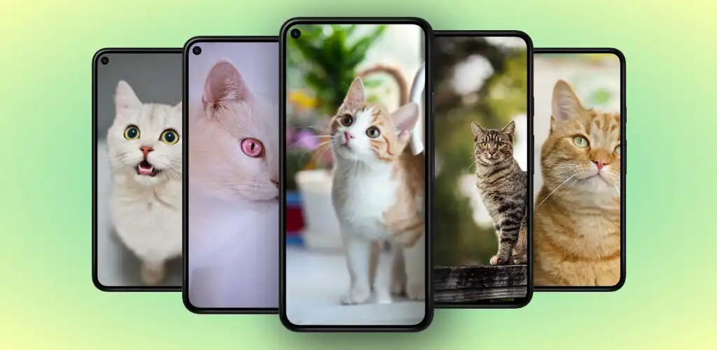 Play Cat Wallpapers 4k 2023  and enjoy Cat Wallpapers 4k 2023 with UptoPlay