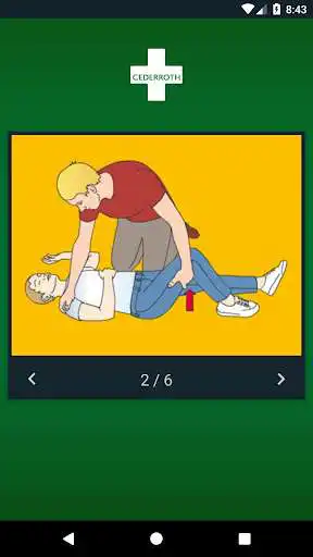 Play Cederroth First Aid as an online game Cederroth First Aid with UptoPlay