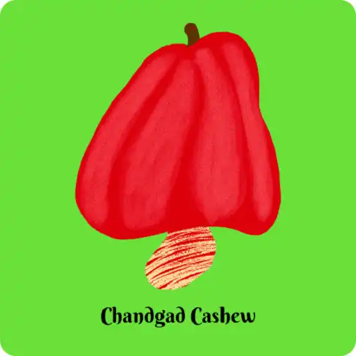 Play Chandgad Cashew APK