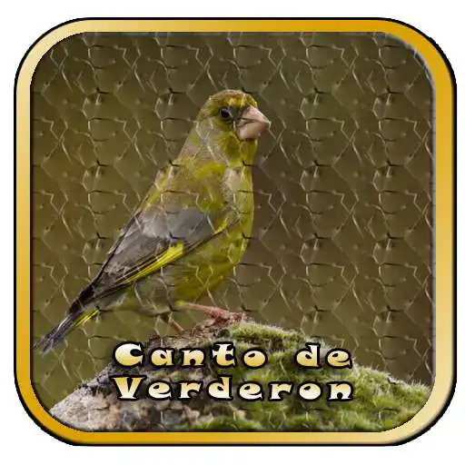 Run free android online Chant du Verdier Verderon APK