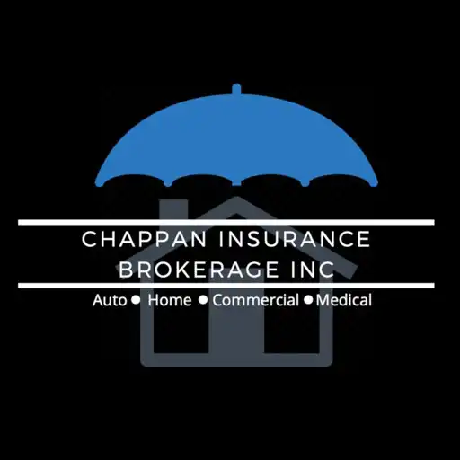 Play Chappan Insurance APK