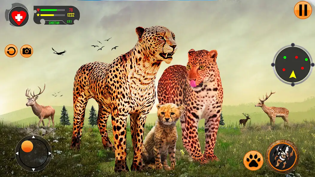 Play Cheetah Family Sim 3D Game  and enjoy Cheetah Family Sim 3D Game with UptoPlay