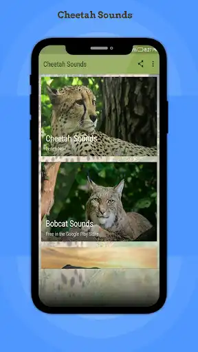 Play Cheetah Sounds  and enjoy Cheetah Sounds with UptoPlay