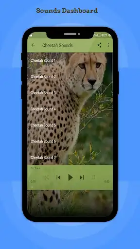 Play Cheetah Sounds as an online game Cheetah Sounds with UptoPlay