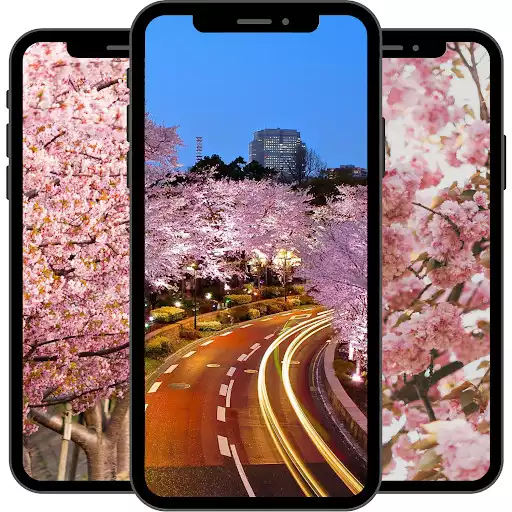 Play Cherry Blossom Wallpaper as an online game Cherry Blossom Wallpaper with UptoPlay